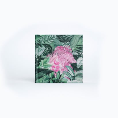 Álbum Amazônia p/ 24 fotos polaroid