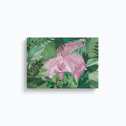 Álbum Amazônia p/ 20 fotos 15 x 20 cm