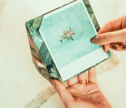 Atitudes simples que ajudam na preservação